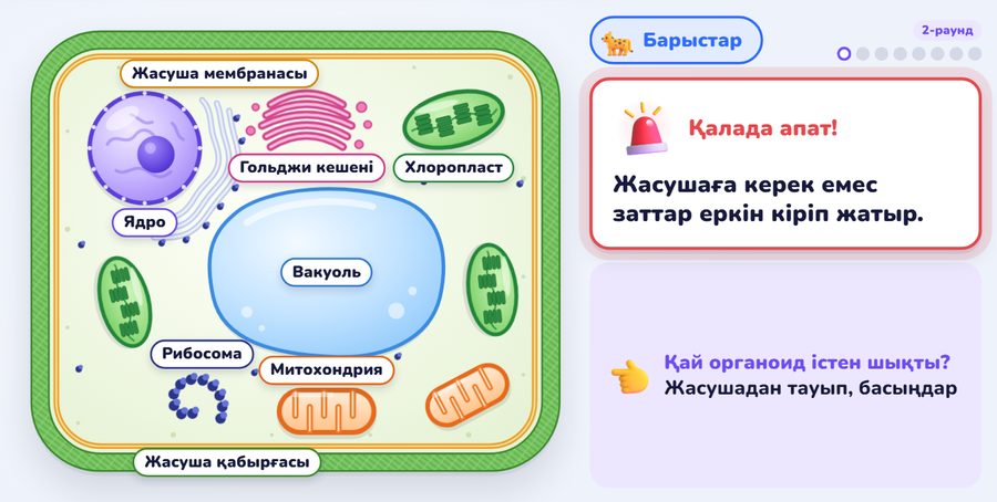 «Тірі қала» ойыны: өсімдік жасушасы